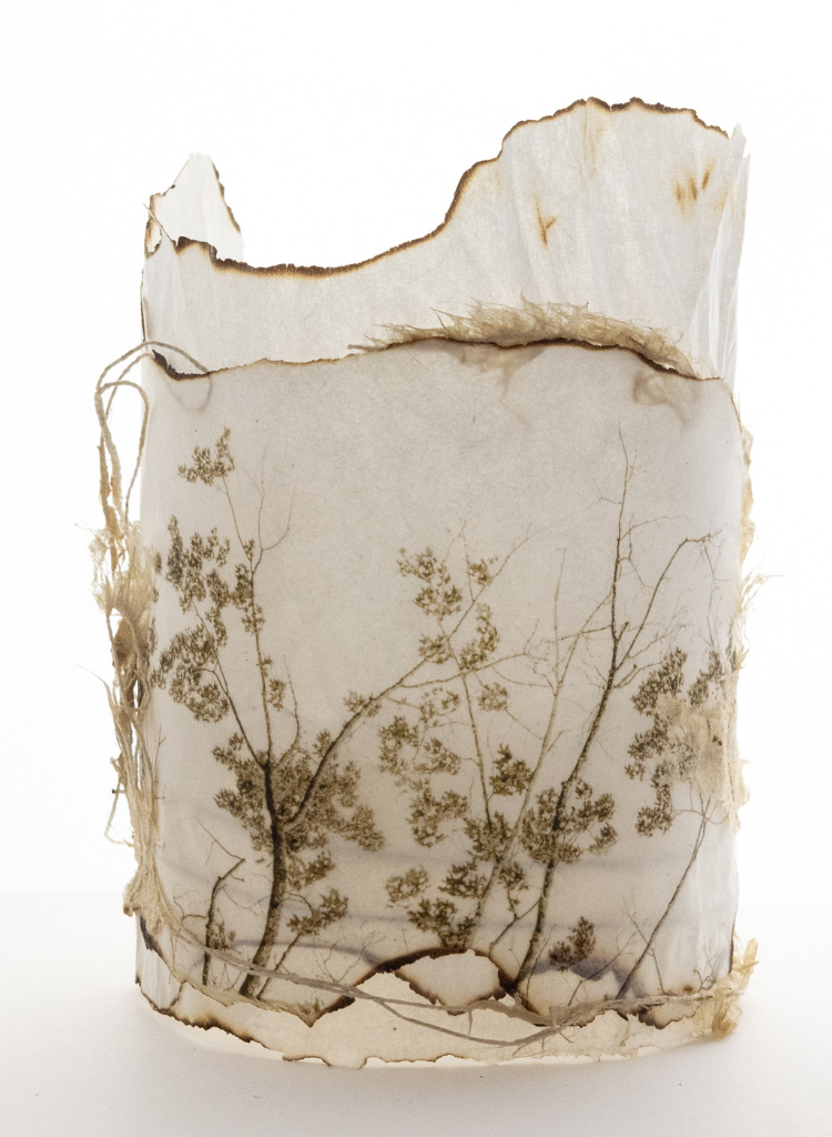 paper sculpture, printed with botanical images on handmade paper by Karen Olson