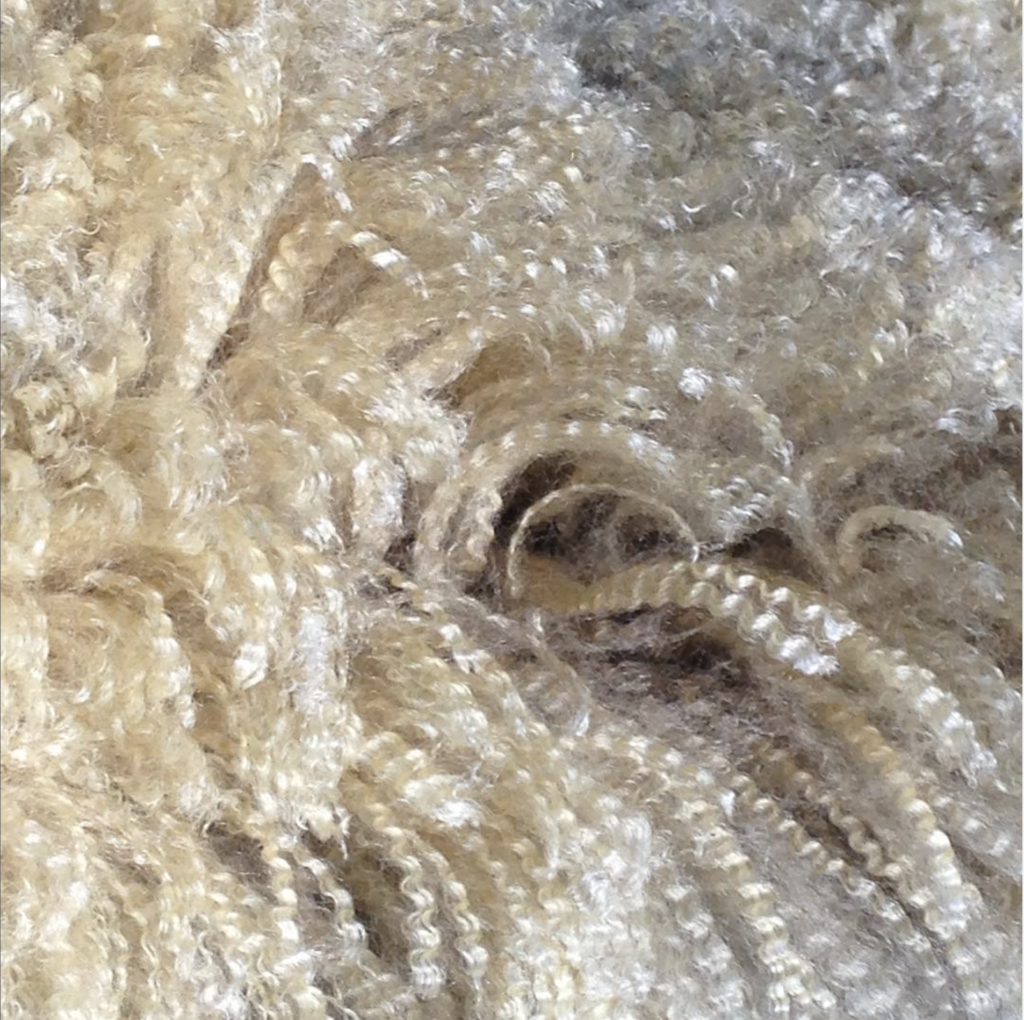 Fine sheep wool with well-defined crimp and extra luster.