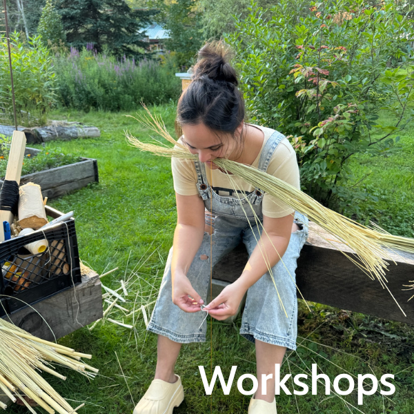 Graphic Link to Workshops Page